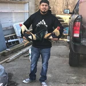 Meet your Posher, Ramiro